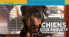 Desktop Screenshot of cine-flash.com